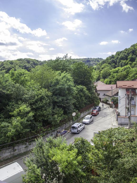 Vila Victoria Ramnicu Valcea Luaran gambar